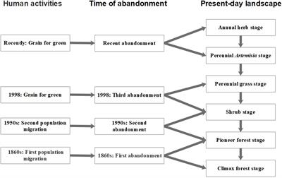 Soil Abiotic Properties and Plant Functional Traits Mediate Associations Between Soil Microbial and Plant Communities During a Secondary Forest Succession on the Loess Plateau